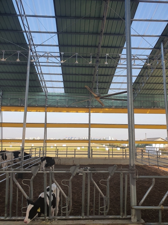 kakaotalk2021110209115593101